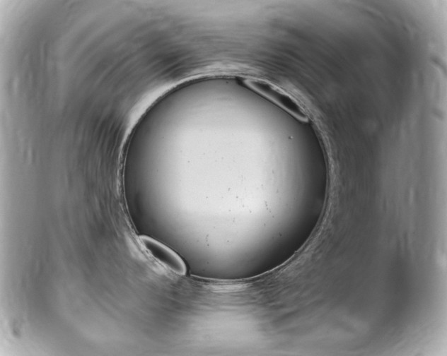 X0000102001296200807180840