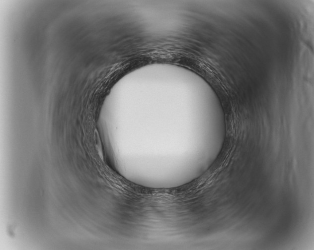X0000102001297200807180839