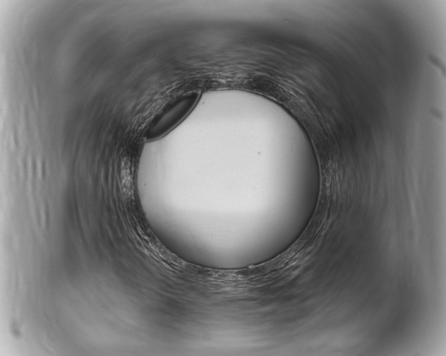 X0000102001298200807180839