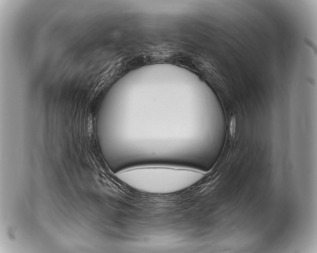 X0000102001299200807180839