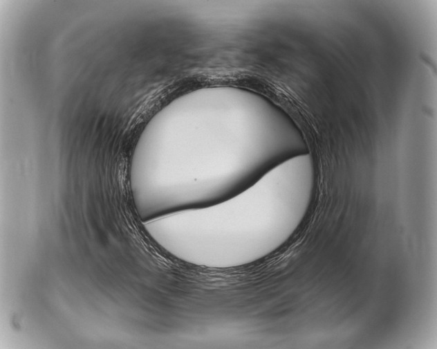 X0000102001300200807180839