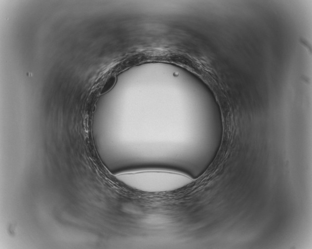 X0000102001301200807180839