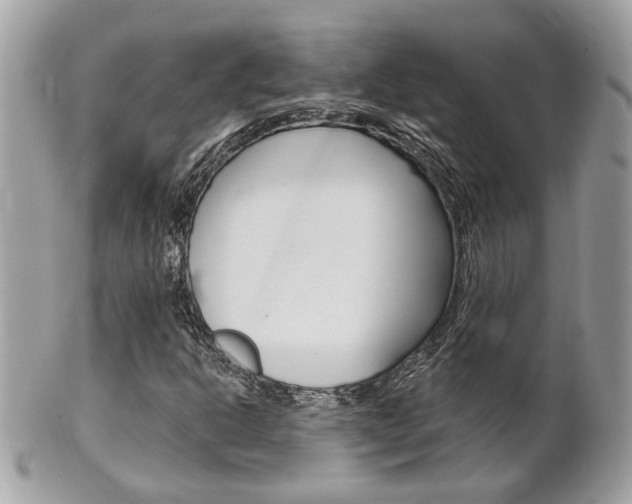 X0000102001302200807180839