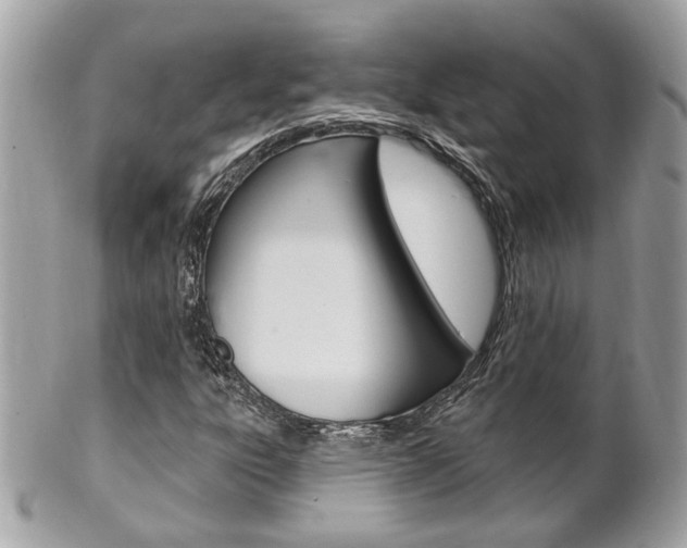 X0000102001303200807180839