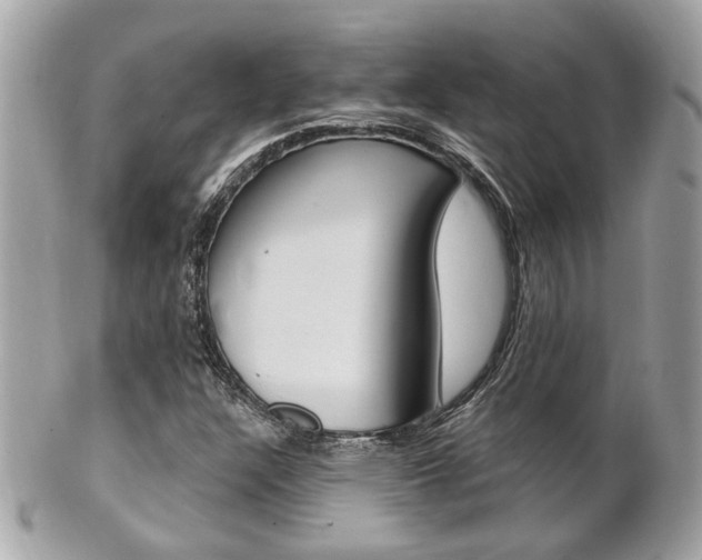 X0000102001304200807180839