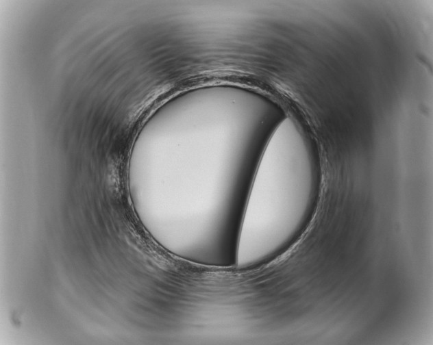X0000102001305200807180839