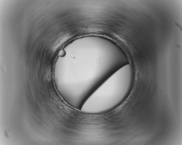 X0000102001306200807180839