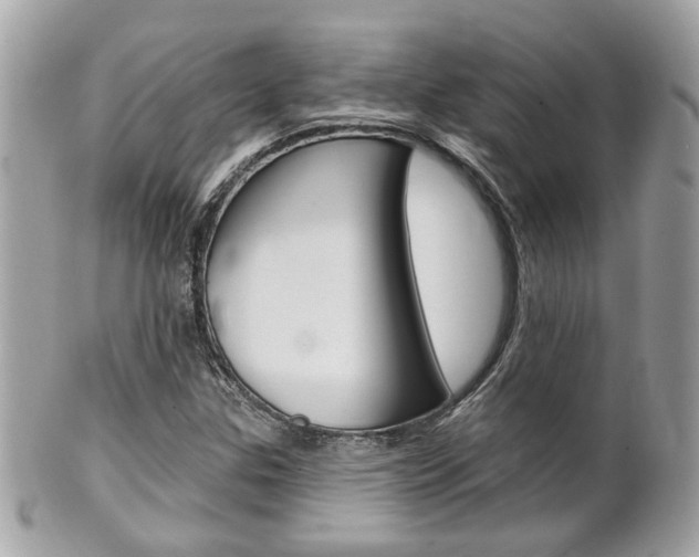 X0000102001307200807180839