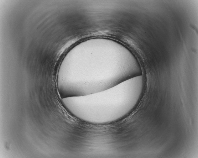 X0000102001308200807180839
