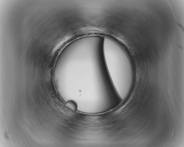 X0000102001309200807180839