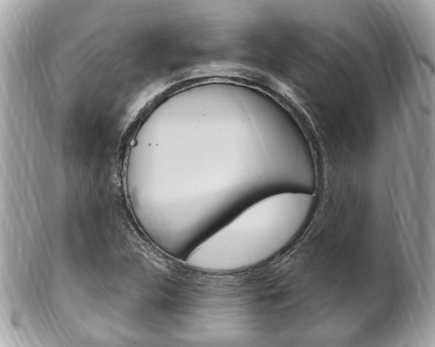 X0000102001312200807180839