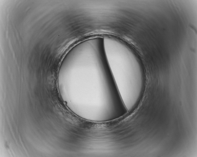 X0000102001313200807180839
