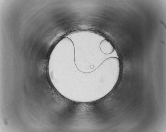 X0000102001314200807180839