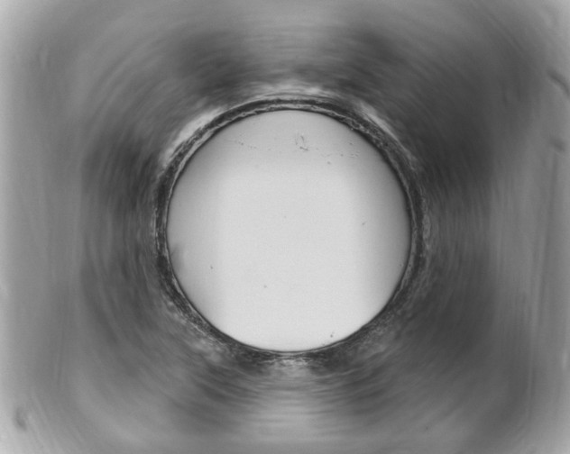 X0000102001315200807180839