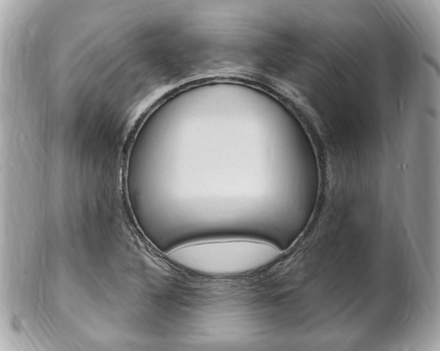 X0000102001316200807180839