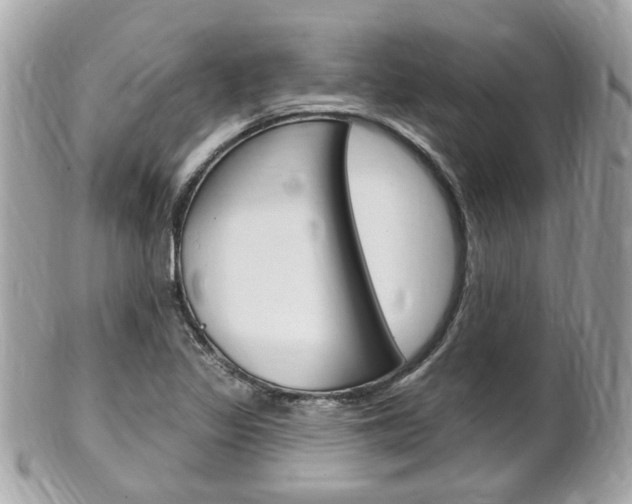X0000102001317200807180839