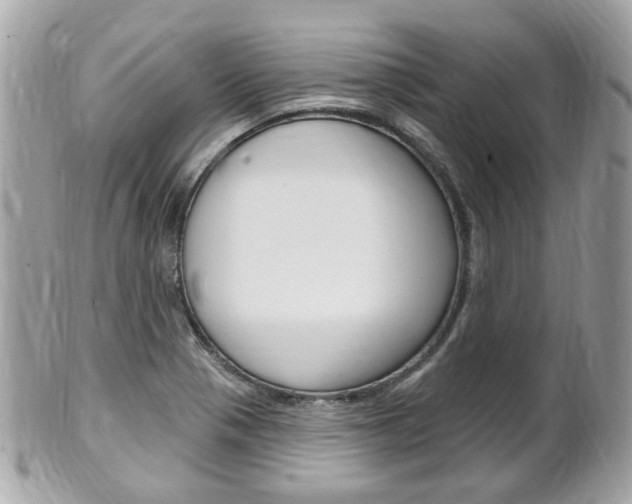 X0000102001321200807180839