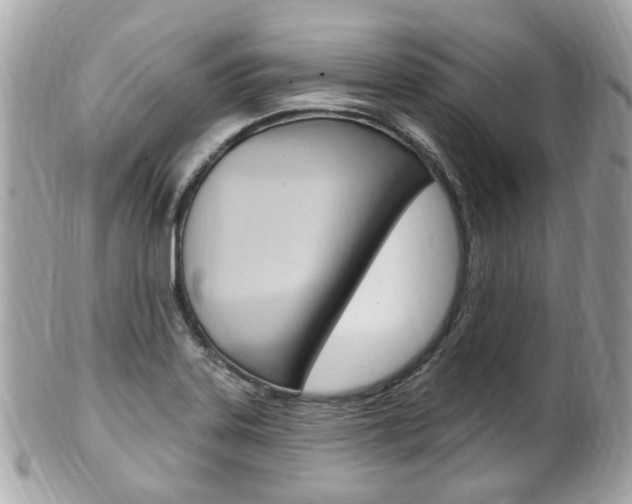 X0000102001323200807180839