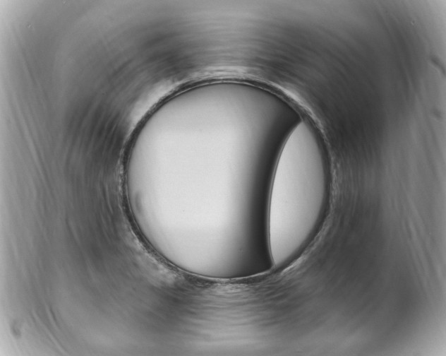 X0000102001325200807180839