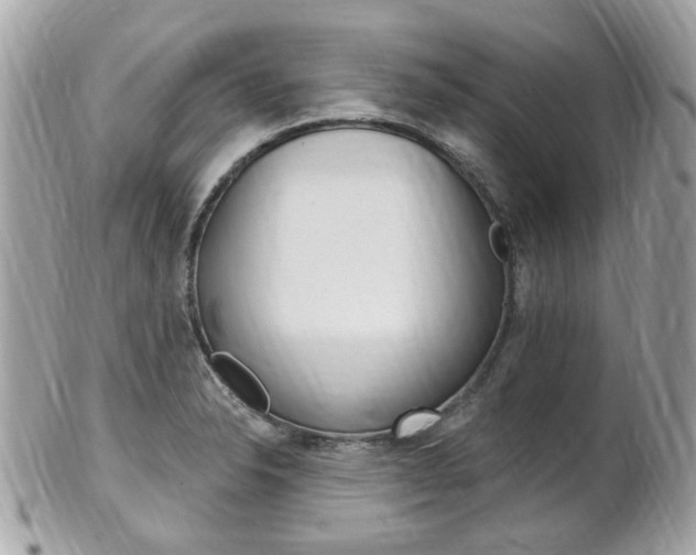 X0000102001326200807180839