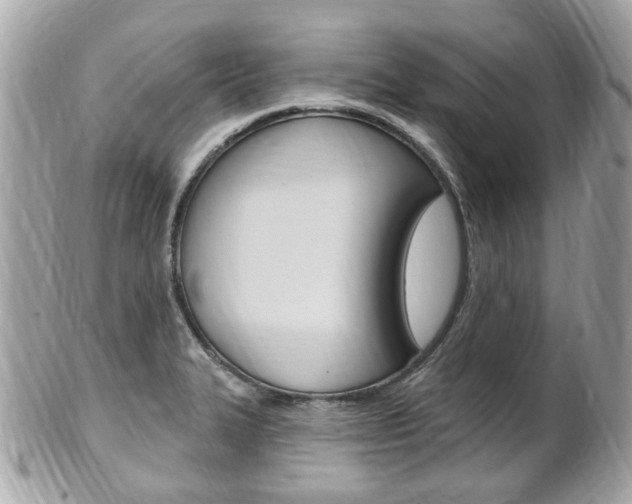X0000102001327200807180839