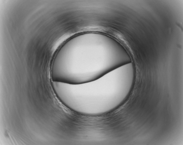 X0000102001328200807180839