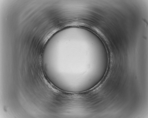 X0000102001329200807180839