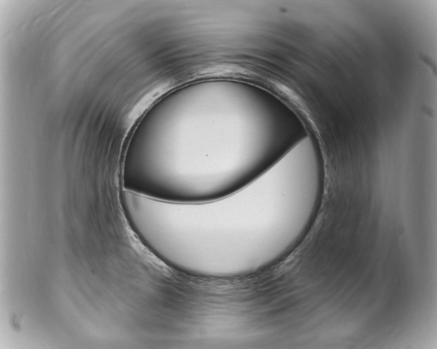 X0000102001330200807180839