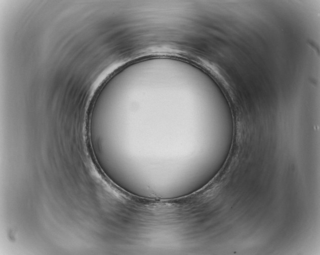X0000102001331200807180839