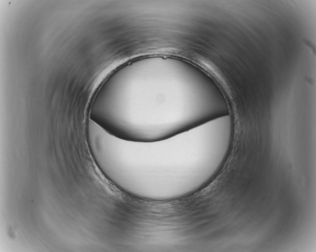 X0000102001332200807180840