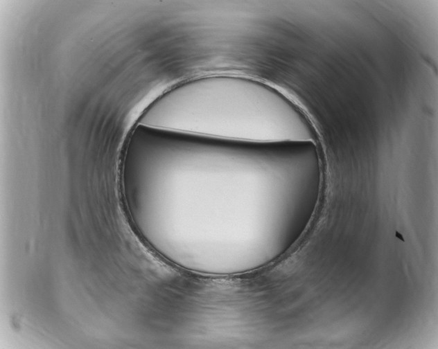 X0000102001333200807180840