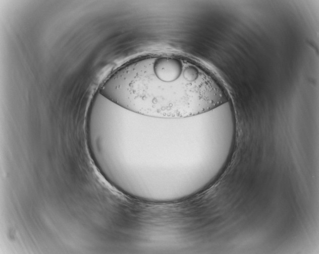 X0000102001335200807180840