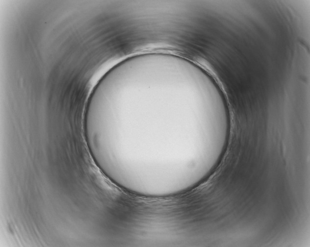 X0000102001336200807180840