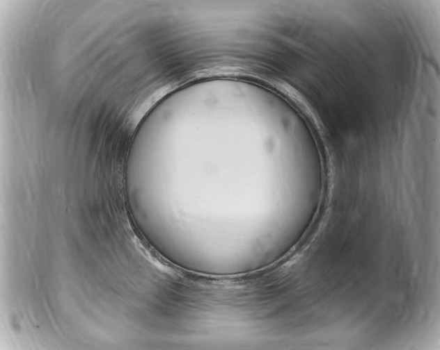 X0000102001337200807180840