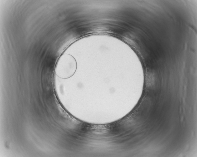 X0000102001338200807180840