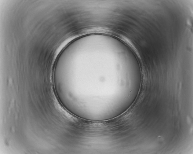 X0000102001339200807180840