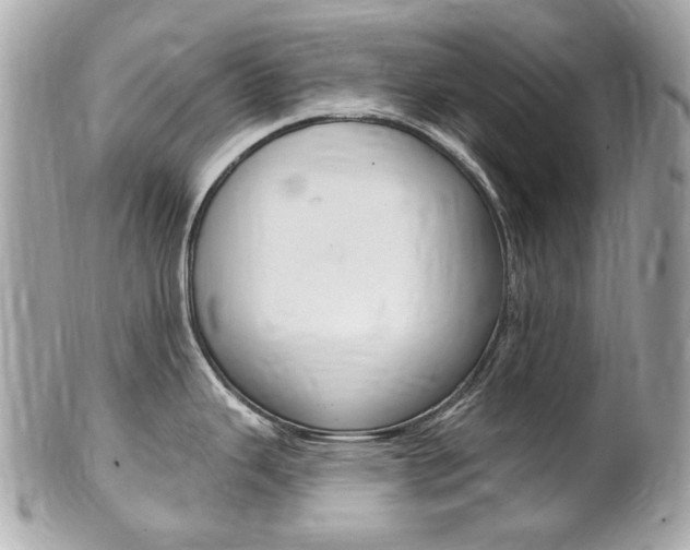 X0000102001343200807180840