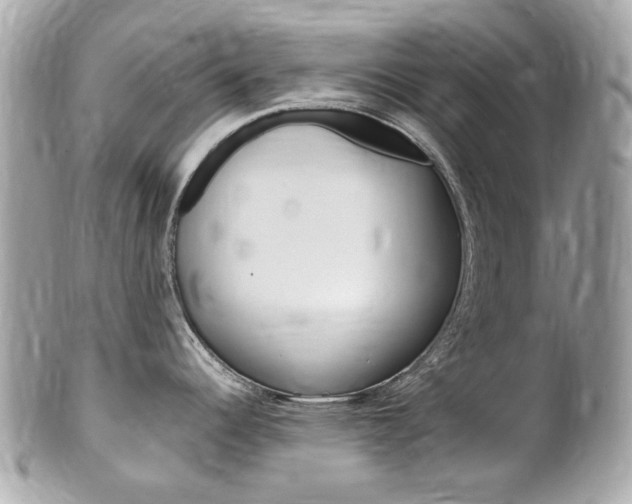 X0000102001344200807180840