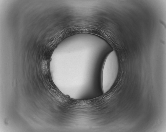 X0000102001347200807180839