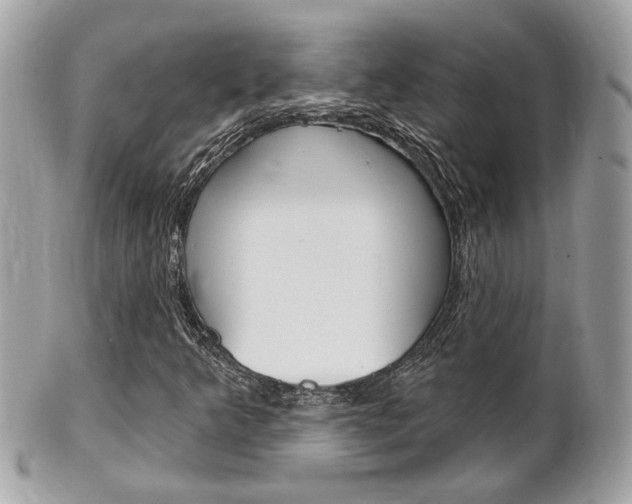 X0000102001349200807180839