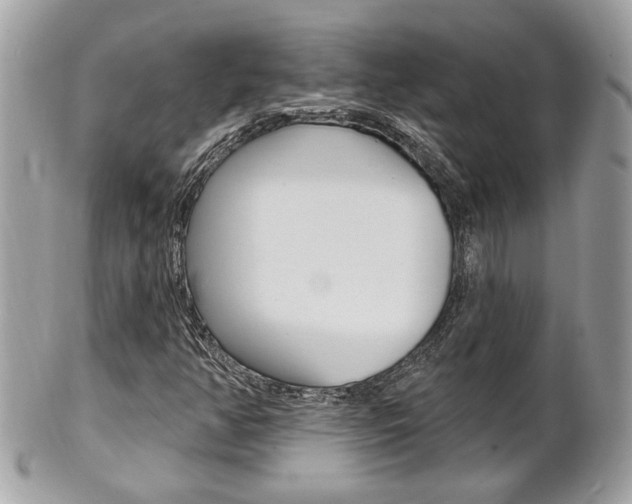 X0000102001350200807180839