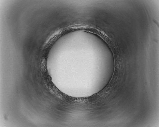 X0000102001351200807180839