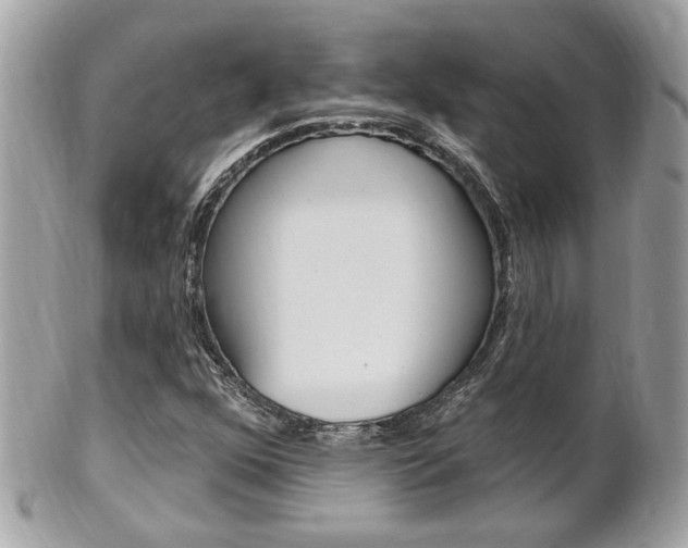 X0000102001352200807180839