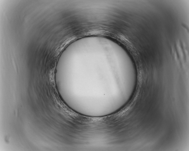 X0000102001353200807180839
