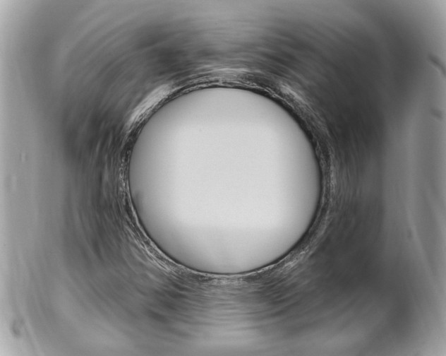 X0000102001354200807180839