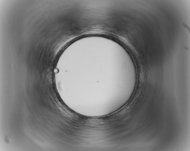 X0000102001356200807180839