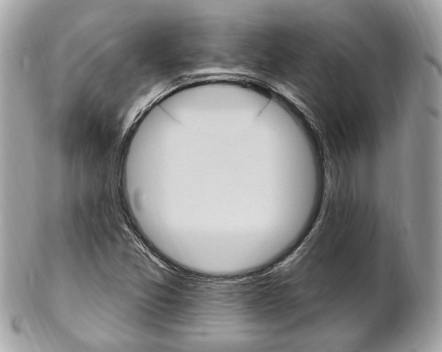 X0000102001357200807180839