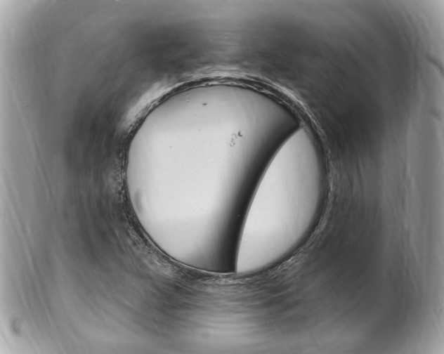 X0000102001359200807180839