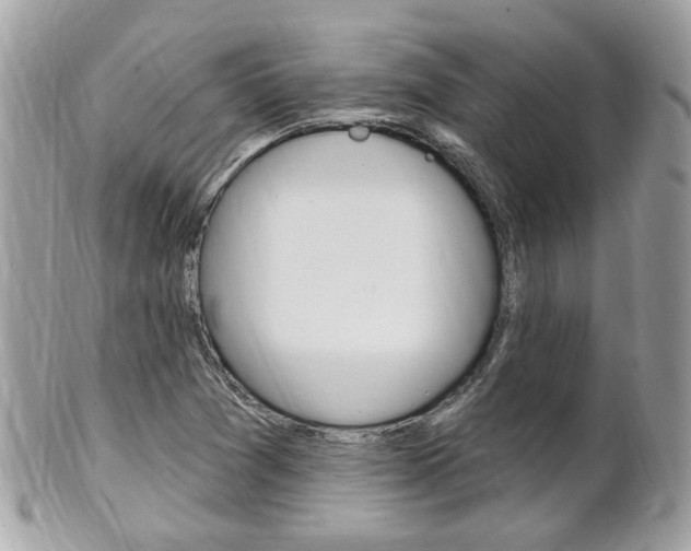 X0000102001361200807180839