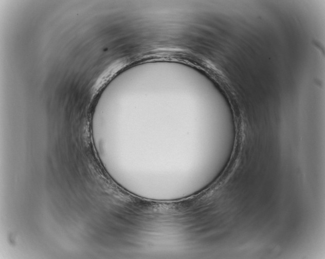 X0000102001362200807180839